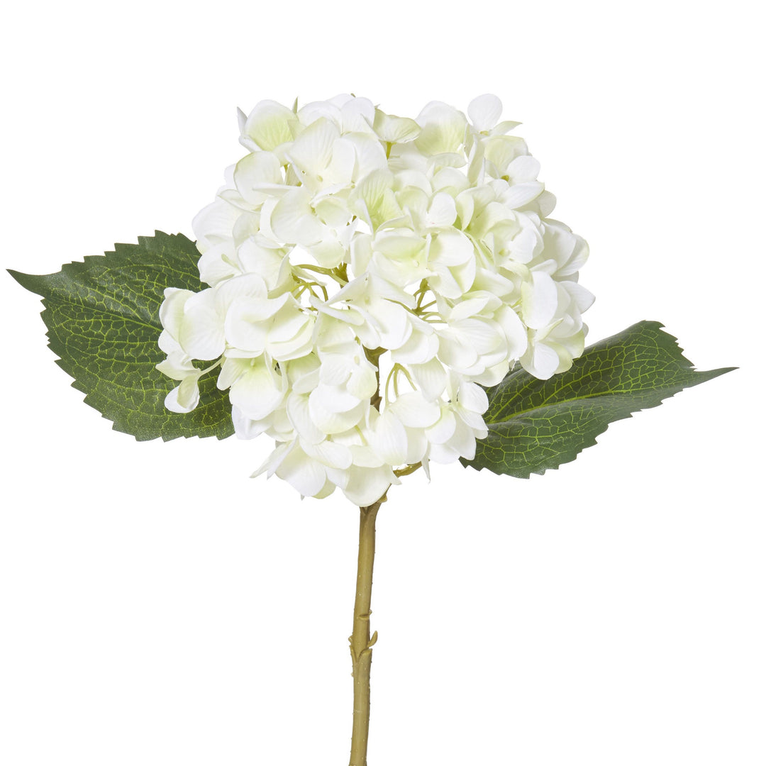 Hydrangea White 50cm