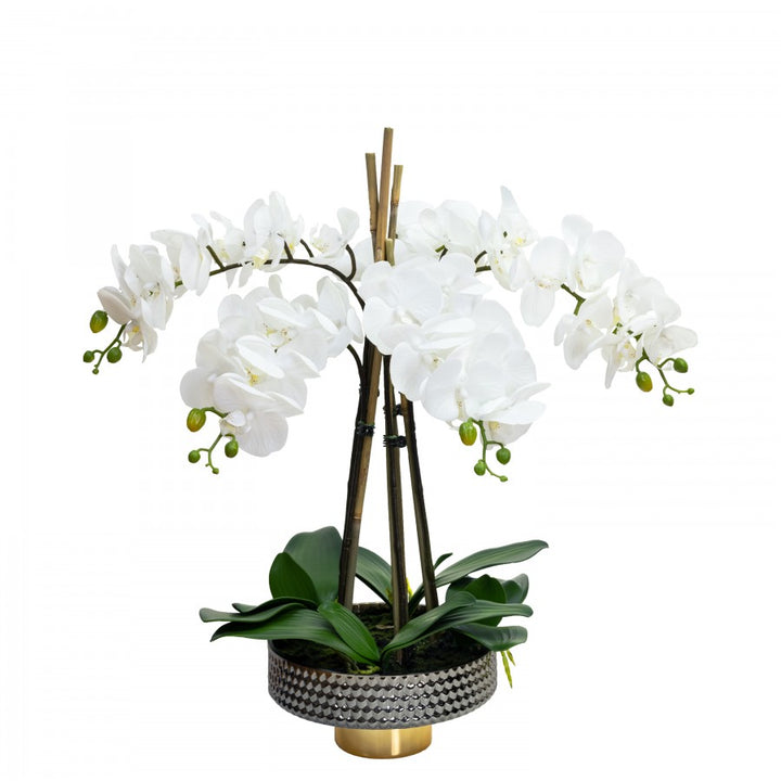 Orchid 55cm in Gold Pedestal Pot
