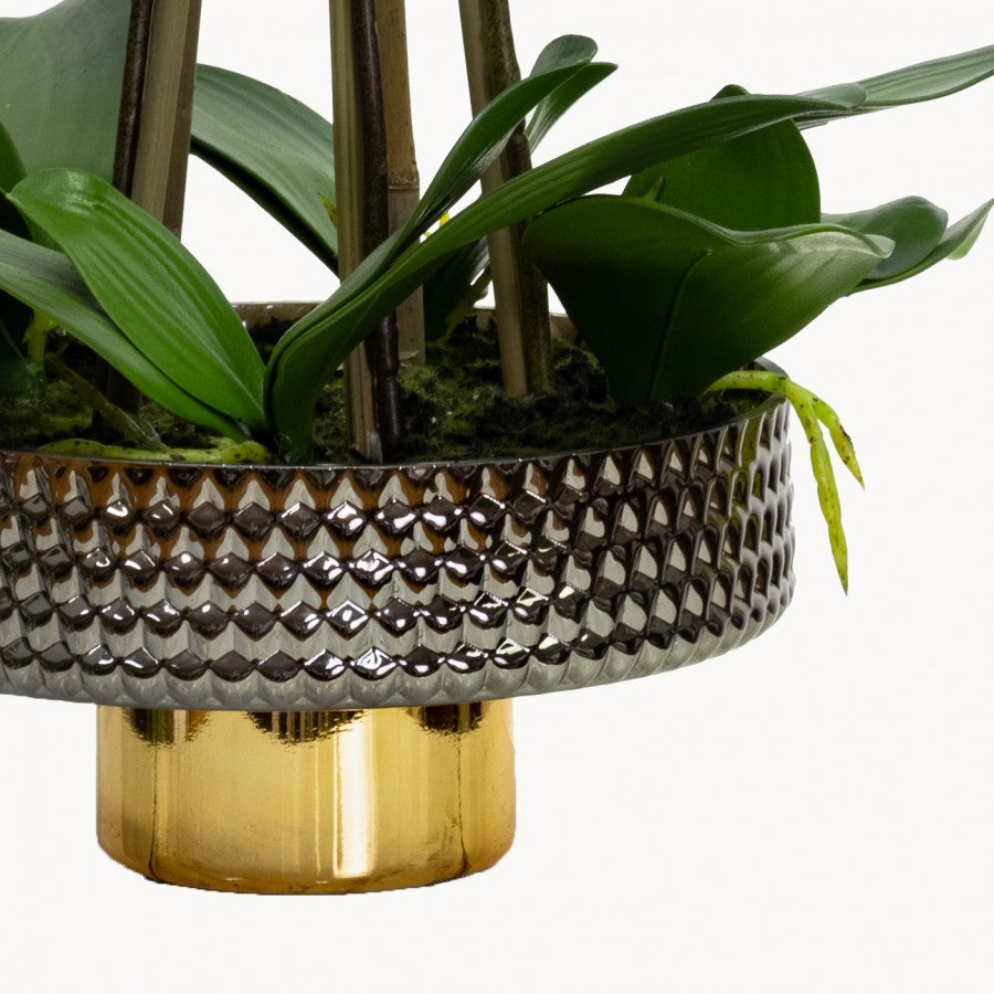 Orchid 55cm in Gold Pedestal Pot