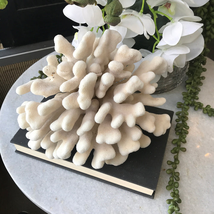 Coral