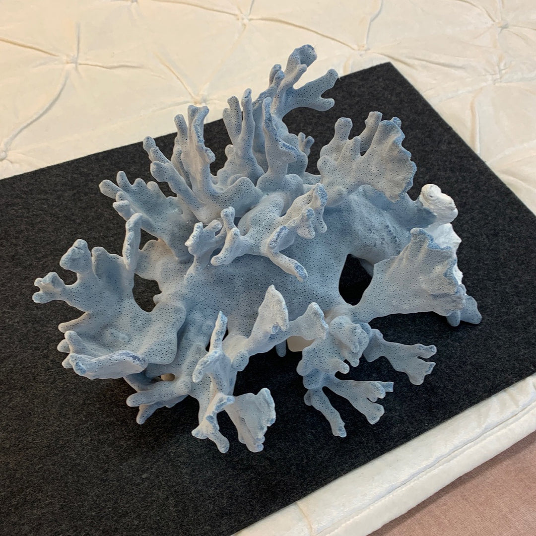 Blue Ridge Coral