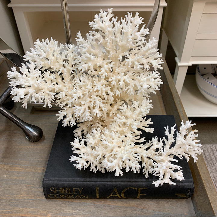 Lace Coral