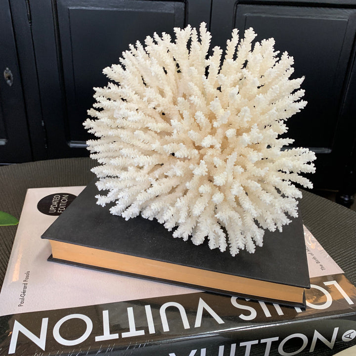Coral