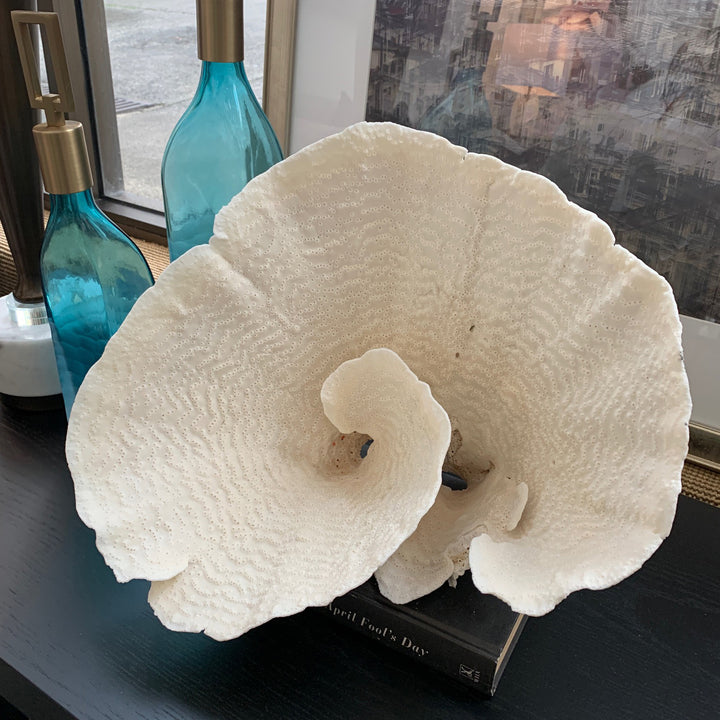 Coral