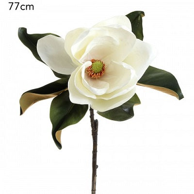 Magnolia Stem Large White