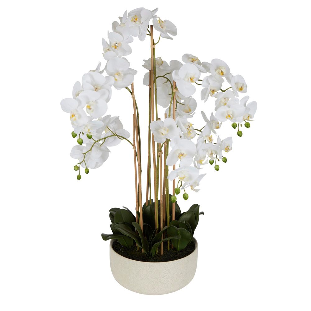 Orchid 100cm in White Pot