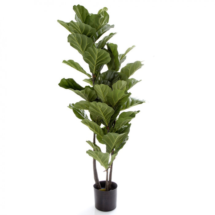 Fiddle Leaf Tree 133cm