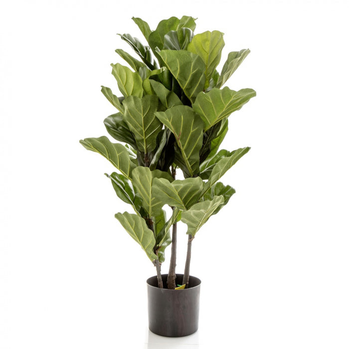 Fiddle Leaf Tree 93cm