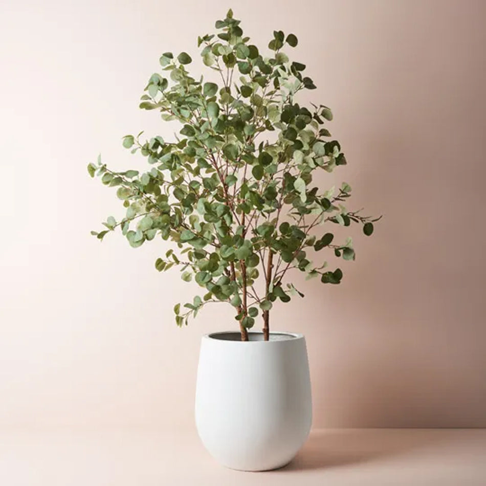 Planter White Pot