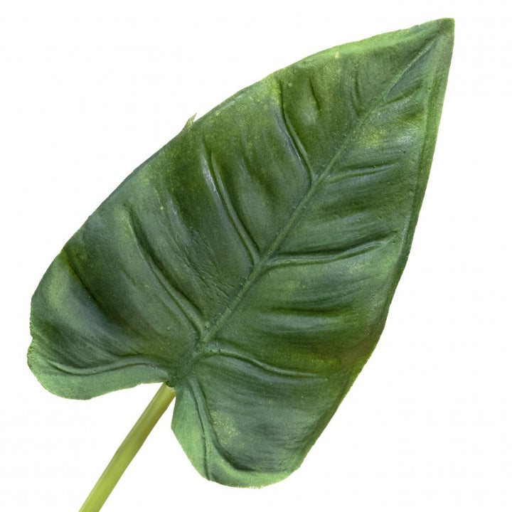 Calla Lily Leaf Bundle
