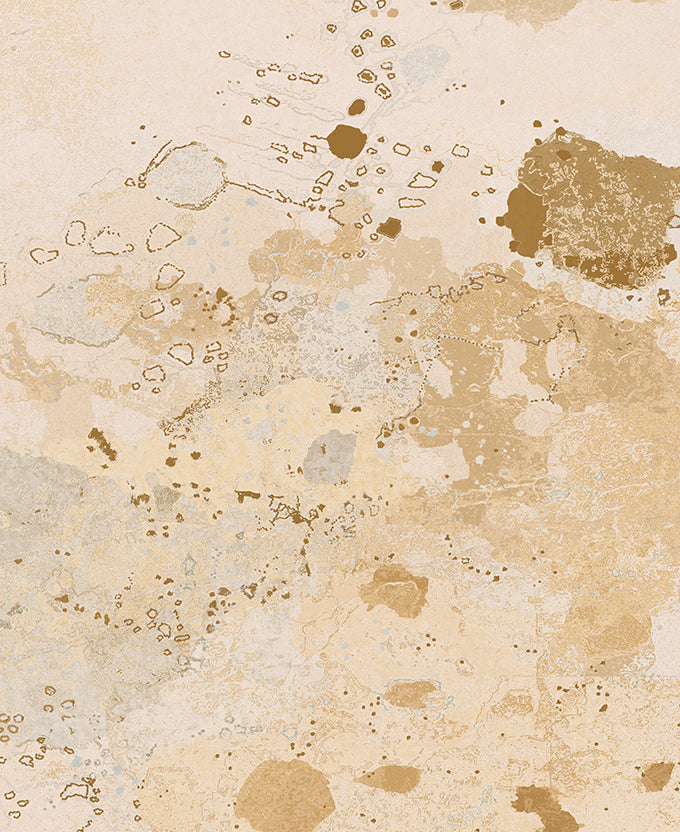 Tanami Plains IV (Canvas)