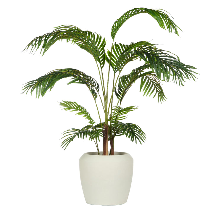 Areca Potted Palm