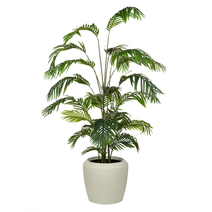 Areca Potted Palm