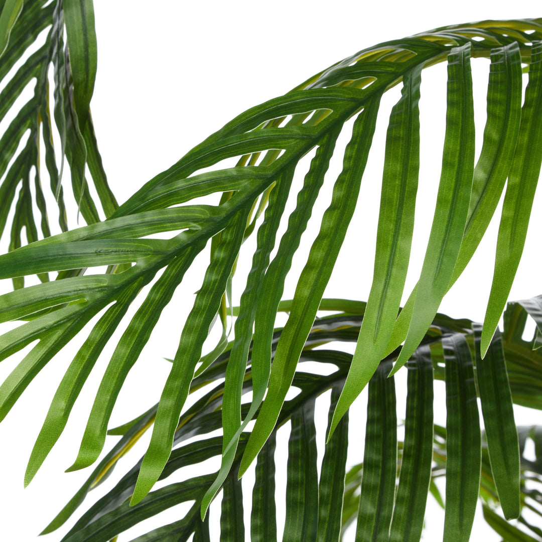 Areca Potted Palm