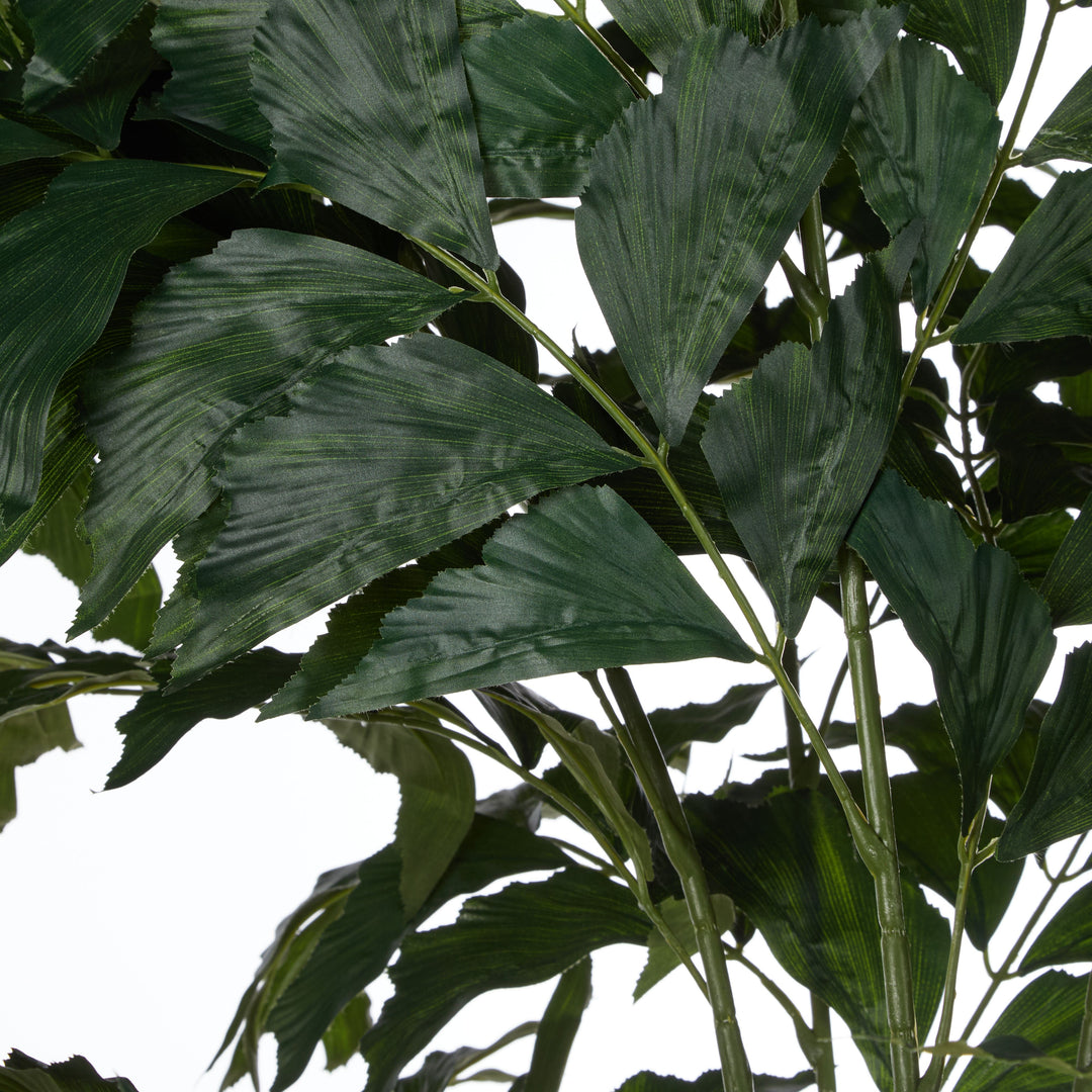 Caryota Potted Palm