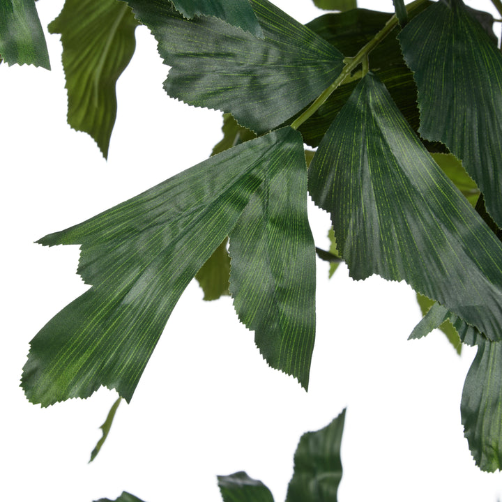 Caryota Potted Palm