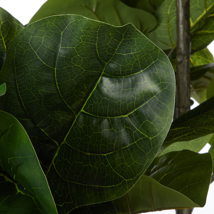 Giant Fiddle Potted Tree