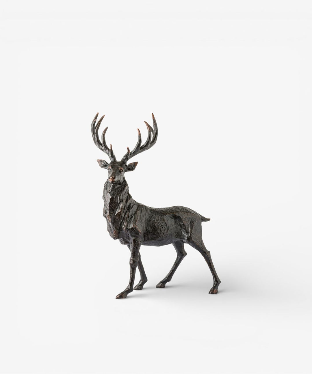 Black Stag Head Turning