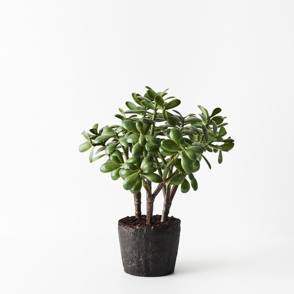 Artificial jade plant 36cm
