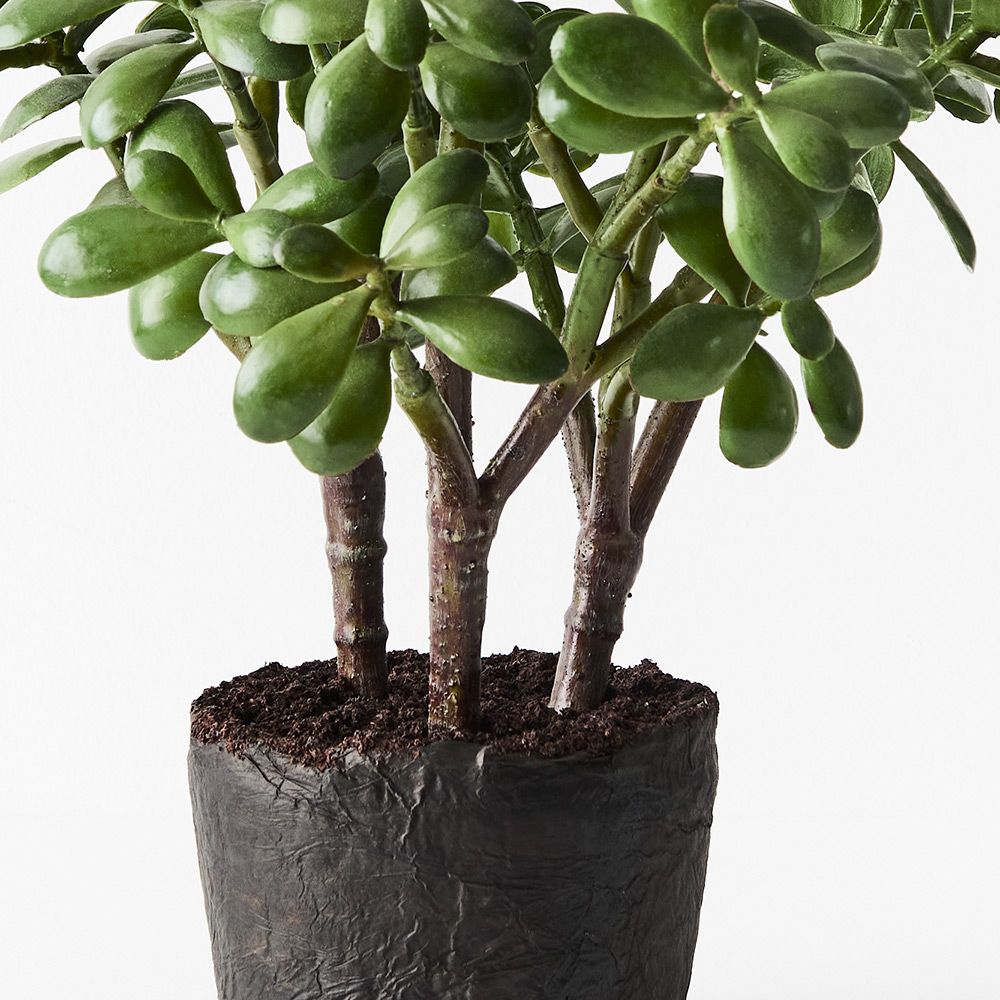 Artificial jade plant 36cm – view 2