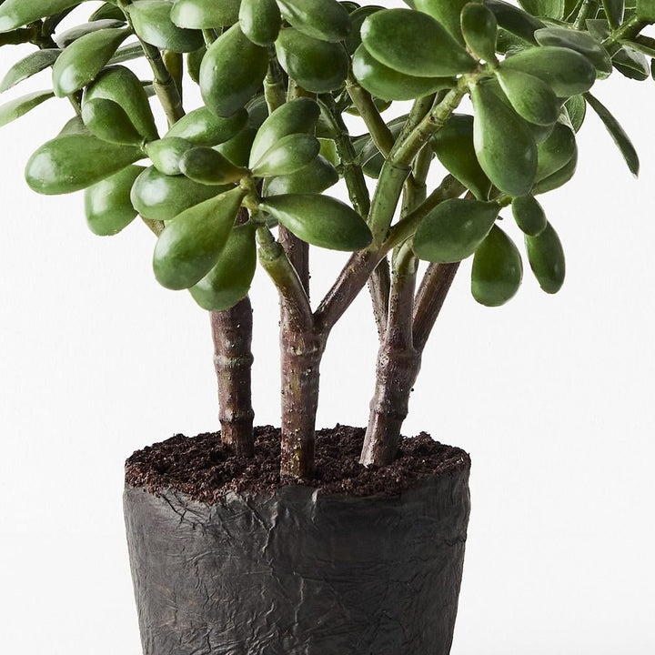 Artificial jade plant 36cm – view 2