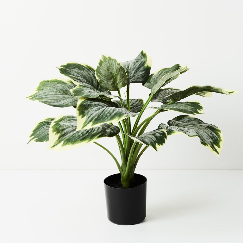 Artificial variegated hosta in pot 50cm