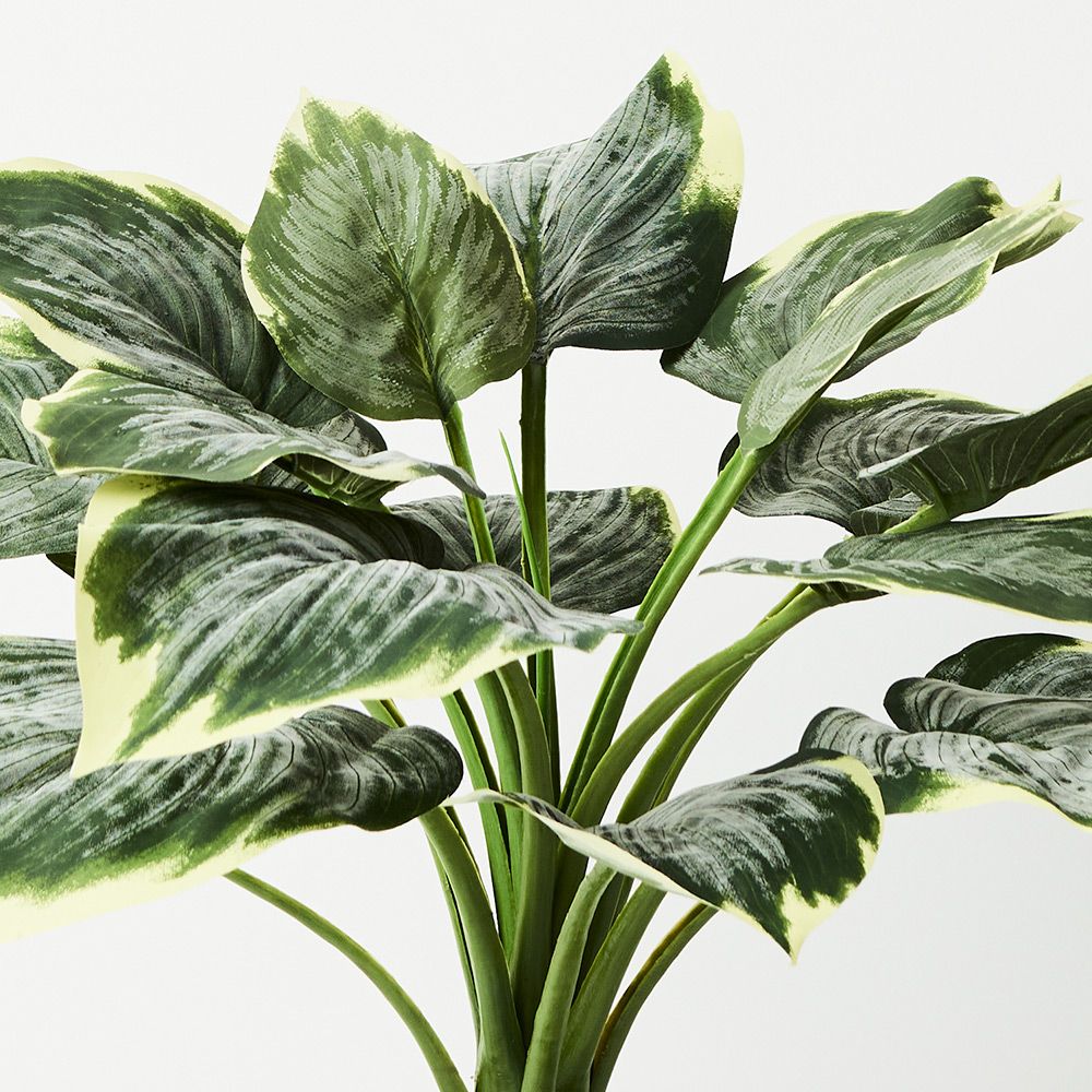 Artificial variegated hosta in pot 50cm – view 2