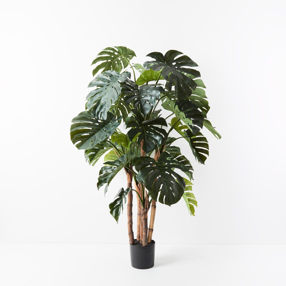 Artificial monstera plant 165cm
