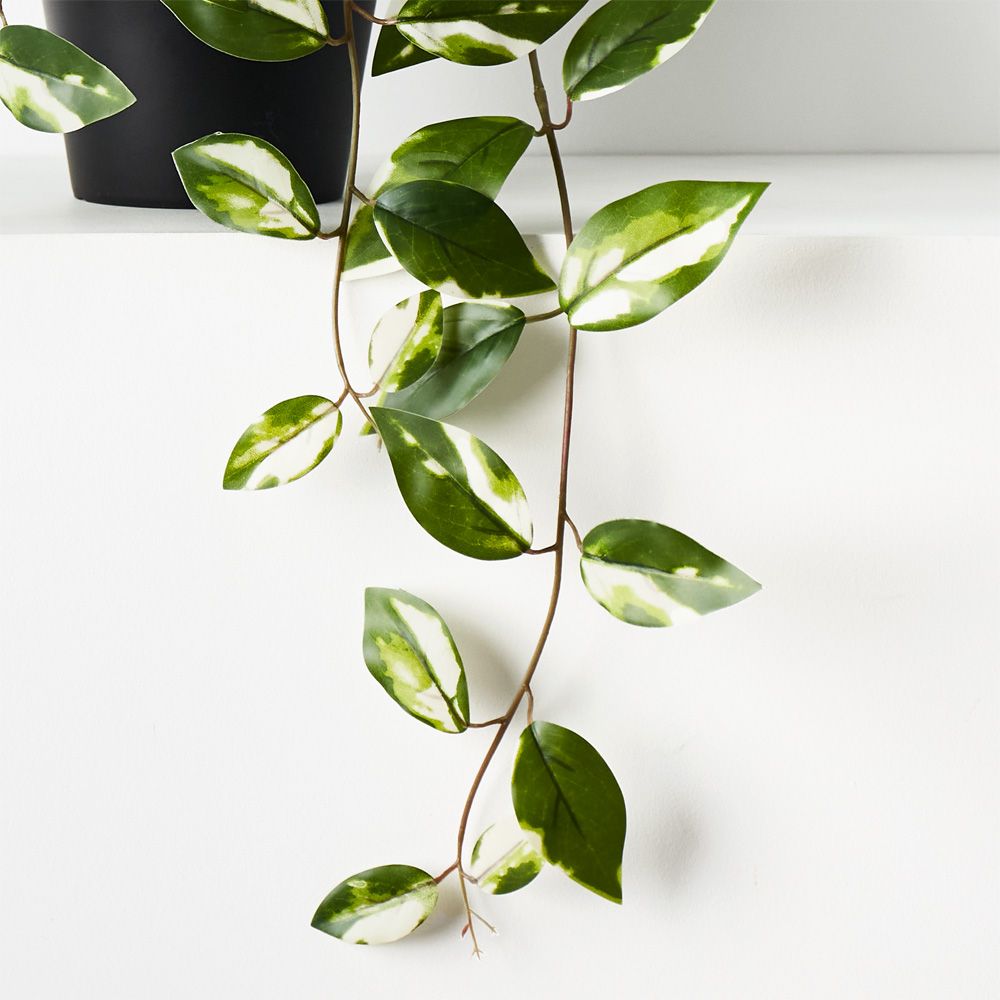 Artificial variegated hoya hanging bush in pot 32cm – view 2