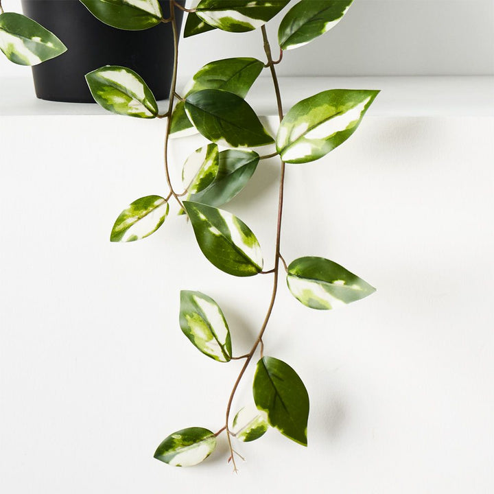 Artificial variegated hoya hanging bush in pot 32cm – view 2
