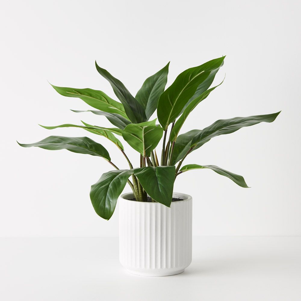 Artificial philodendron plant in white pot 44cm