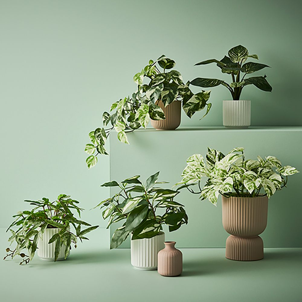 Artificial pothos in white ceramic pot 30cm – view 2