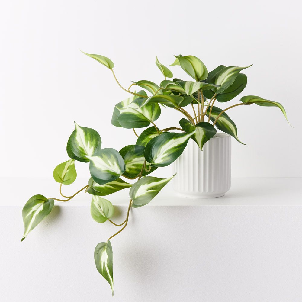 Artificial pothos hanging bush in white ceramic pot 22cm