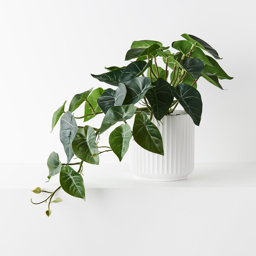 Artificial syngonium hanging bush in white pot, trailing 29cm