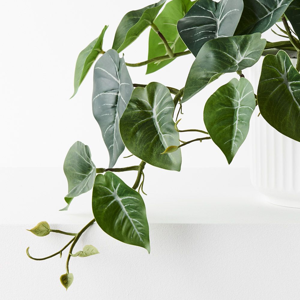 Artificial syngonium hanging bush in white pot, trailing 29cm – view 2