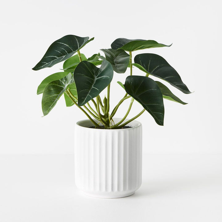 Artificial syngonium plant in ceramic pot 24cm