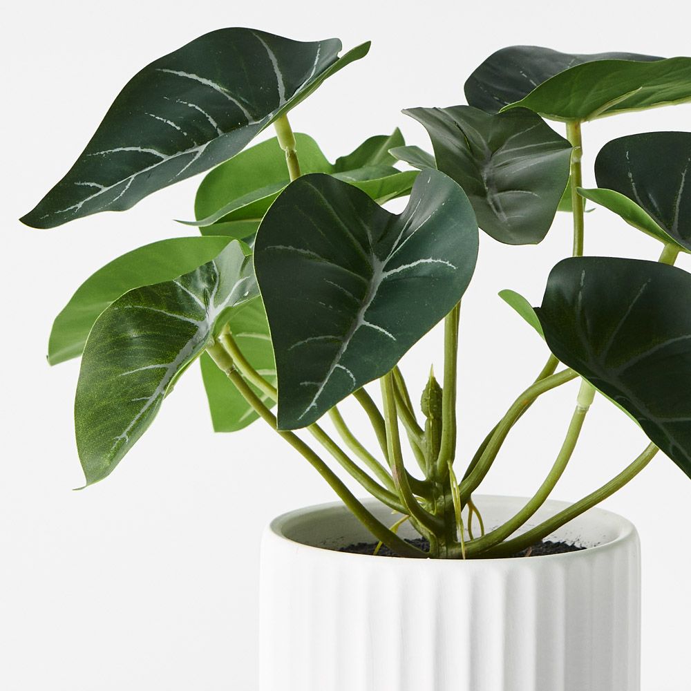 Artificial syngonium plant in ceramic pot 24cm – view 2