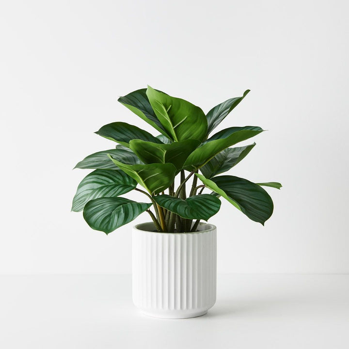 Artificial calathea plant in pot 38cm