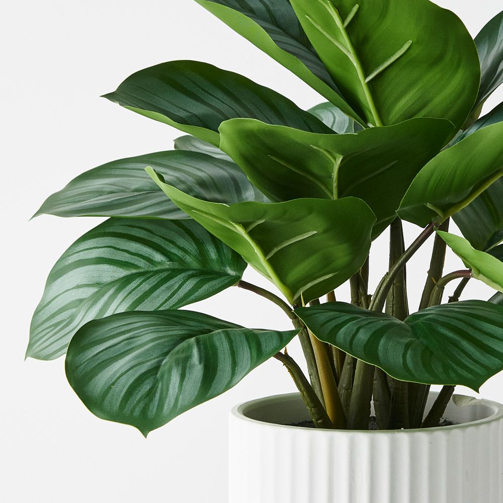 Artificial calathea plant in pot 38cm – view 2