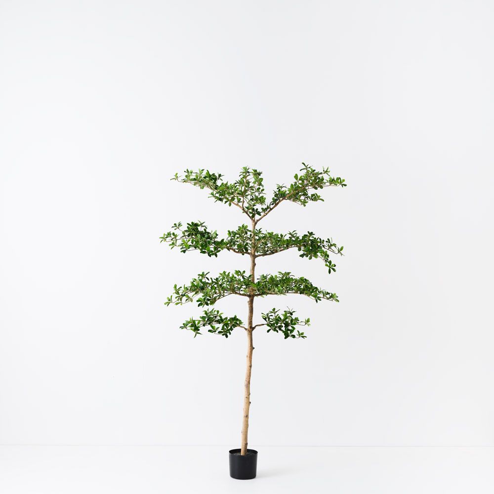 Artificial black olive tree 183cm