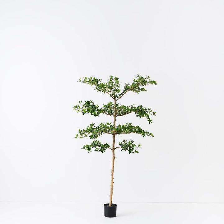 Artificial black olive tree 183cm
