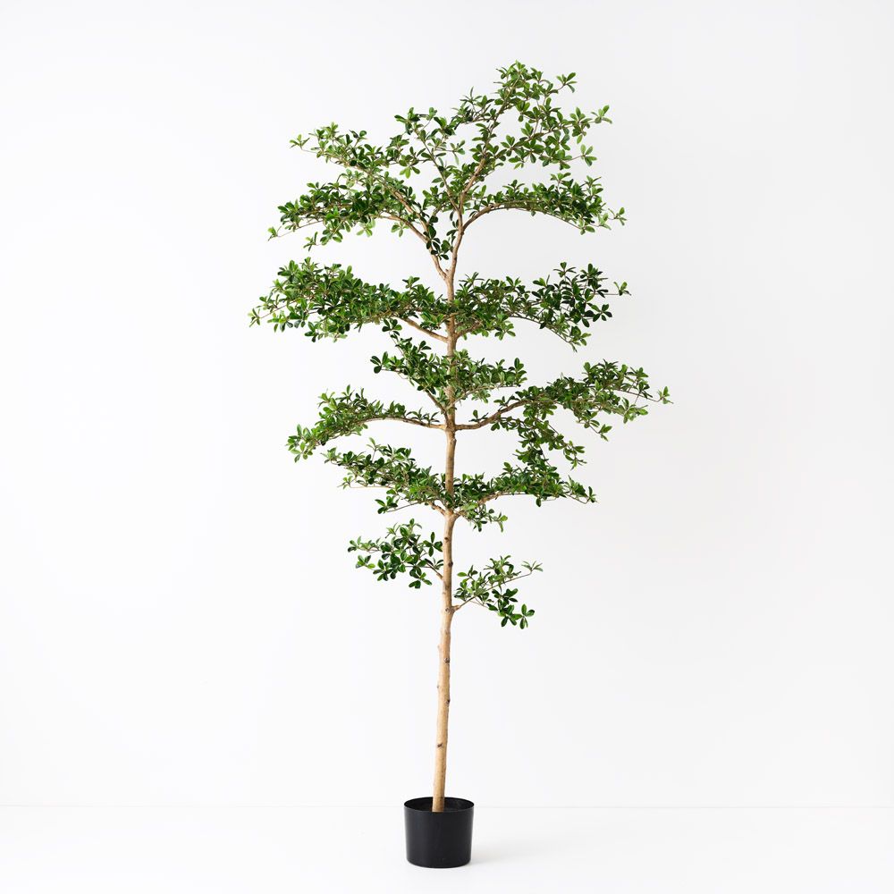 Artificial black olive tree 243cm