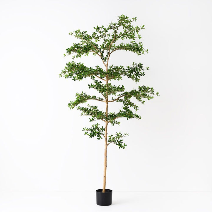 Artificial black olive tree 243cm