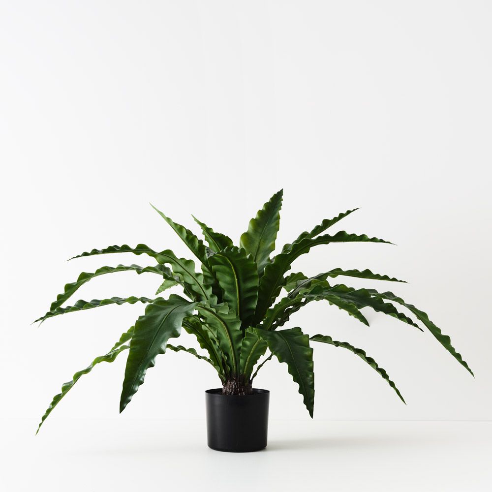 Artificial bird's nest fern plant 42cm