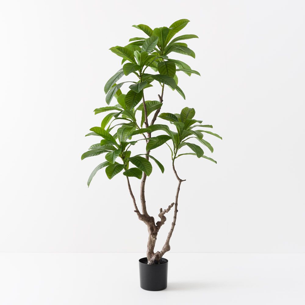 Artificial loquat tree 183cm