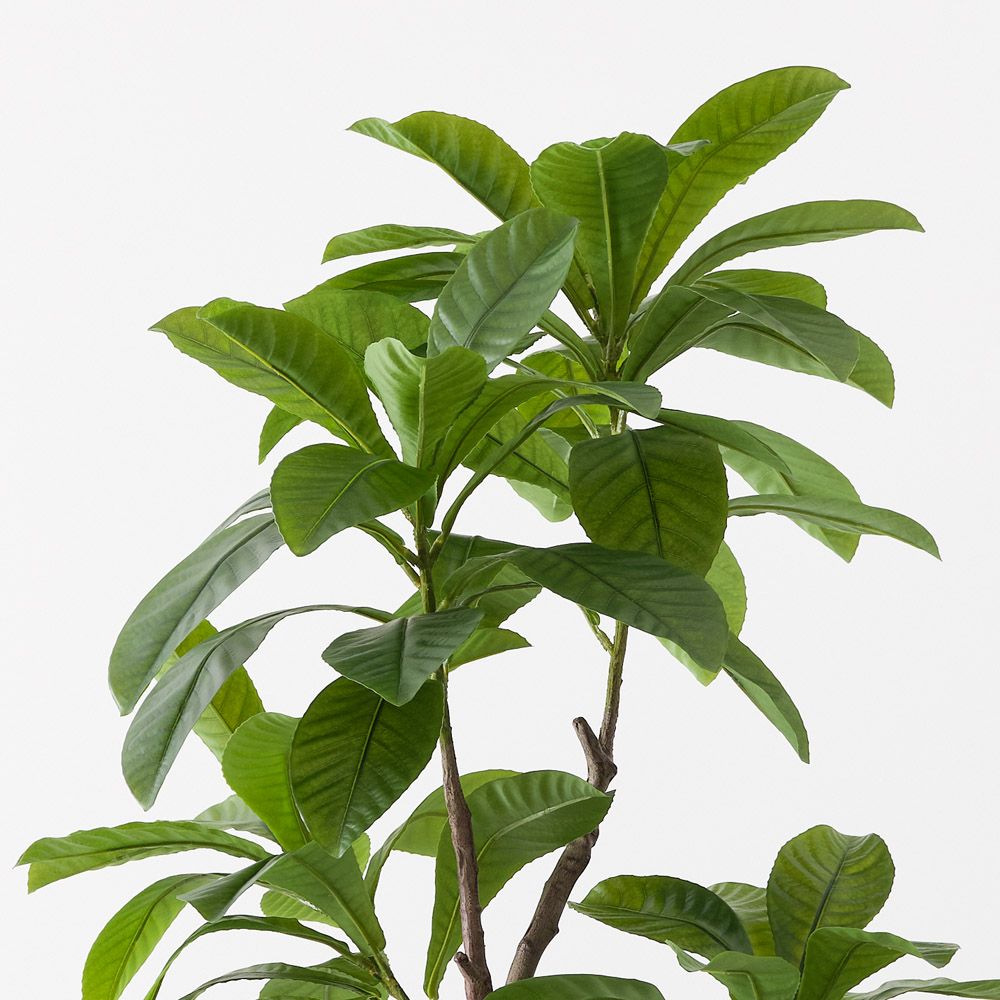 Artificial loquat tree 183cm – view 2