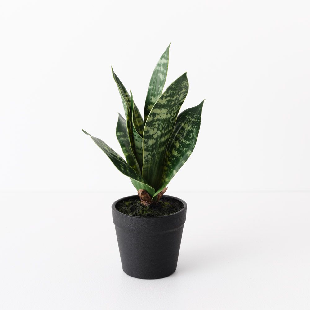 Artificial sansevieria snake plant 19cm, green