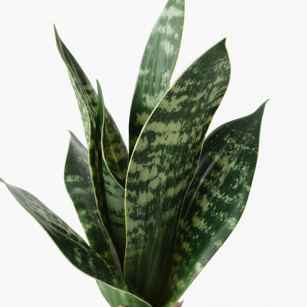 Artificial sansevieria snake plant 19cm, green – view 2