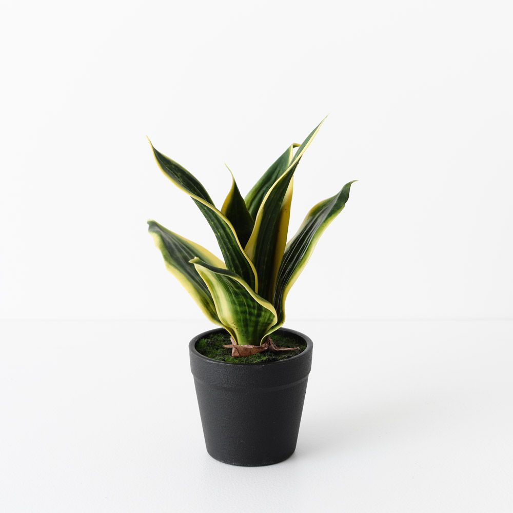 Artificial sansevieria snake plant 19cm, green and yellow