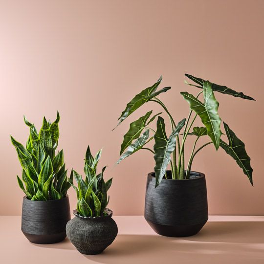 Artificial sansevieria snake plant 99cm, green – view 3